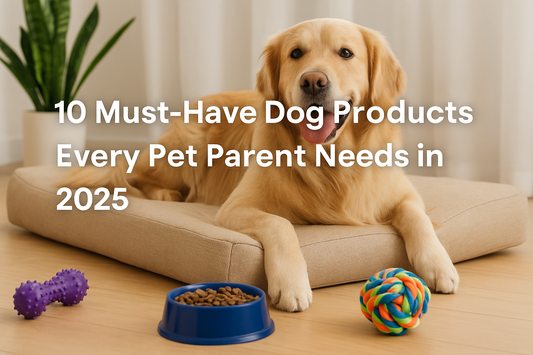 10 Must-Have Pet Supplies Every New Pet Owner Needs