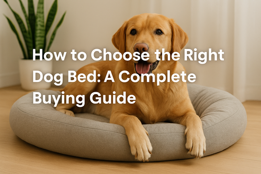 How to Choose the Right Bed for Your Dog or Cat
