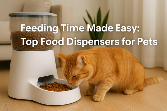 Feeding Time Made Easy: Top Food Dispensers for Pets