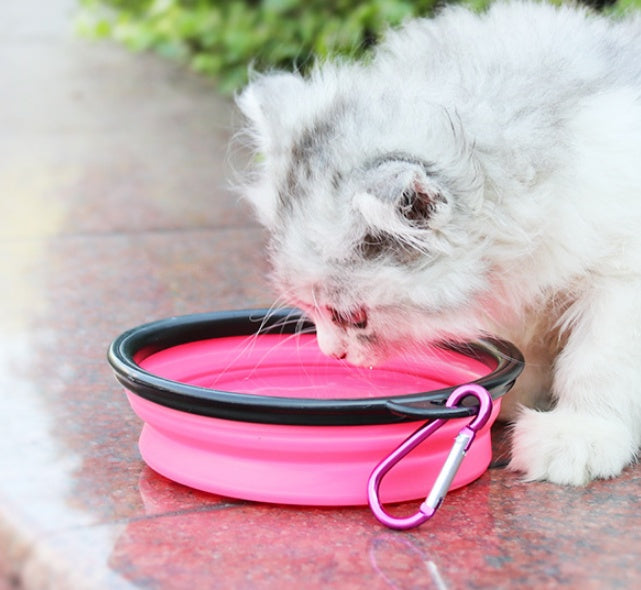 Distributeur d'eau 2 en 1 pour animaux de compagnie, bol portable en silicone pour voyage, pour chien et chat