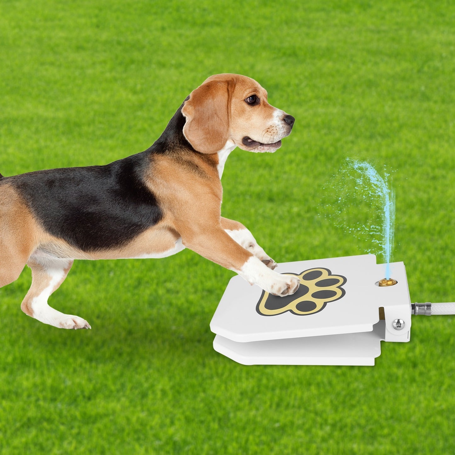 Fontaine à eau pour chien, distributeur d'eau d'extérieur pour animaux de compagnie, arroseur à pédale avec valve interactive pour boire de l'eau