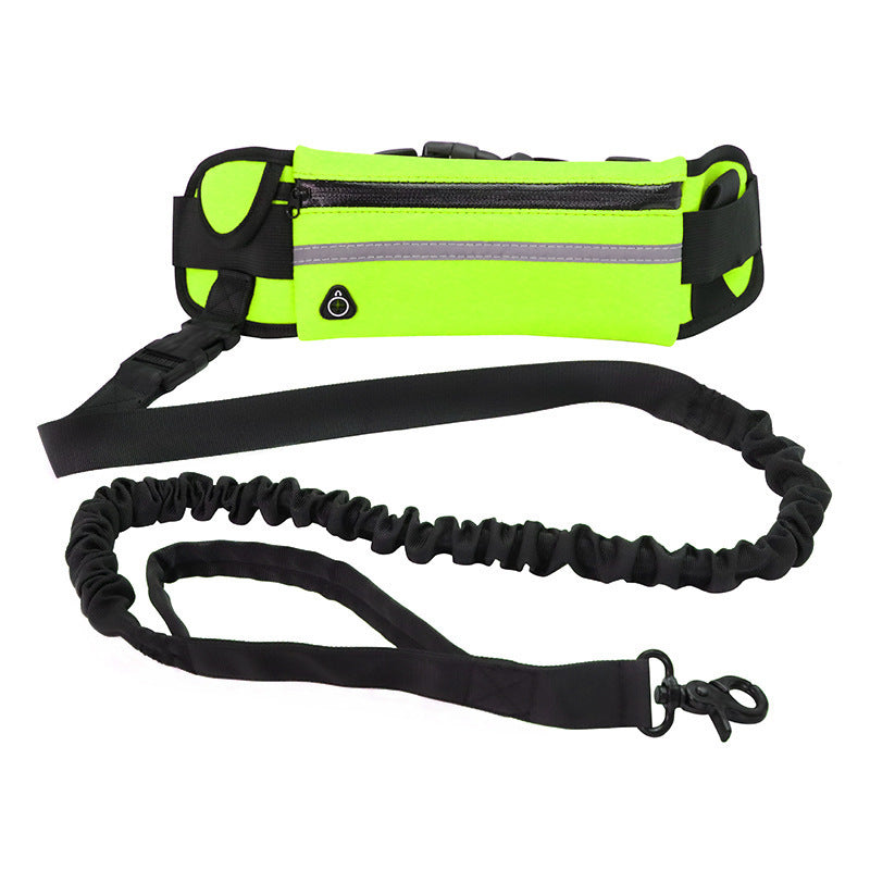 Laisse mains libres pour chien, ceinture de promenade et de dressage pour animaux de compagnie avec élastique absorbant les chocs, laisse pour grands chiens jusqu'à 82 kg, poche pour téléphone et porte-bouteille d'eau