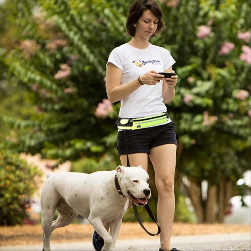 Laisse mains libres pour chien, ceinture de promenade et de dressage pour animaux de compagnie avec élastique absorbant les chocs, laisse pour grands chiens jusqu'à 82 kg, poche pour téléphone et porte-bouteille d'eau