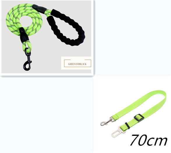 Laisse réfléchissante en nylon pour chien, idéale pour la marche, l'entraînement et la formation des petits et grands chiens.