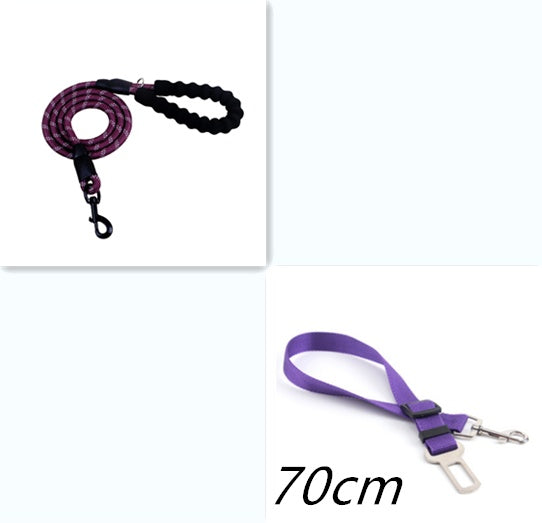 Laisse réfléchissante en nylon pour chien, idéale pour la marche, l'entraînement et la formation des petits et grands chiens.