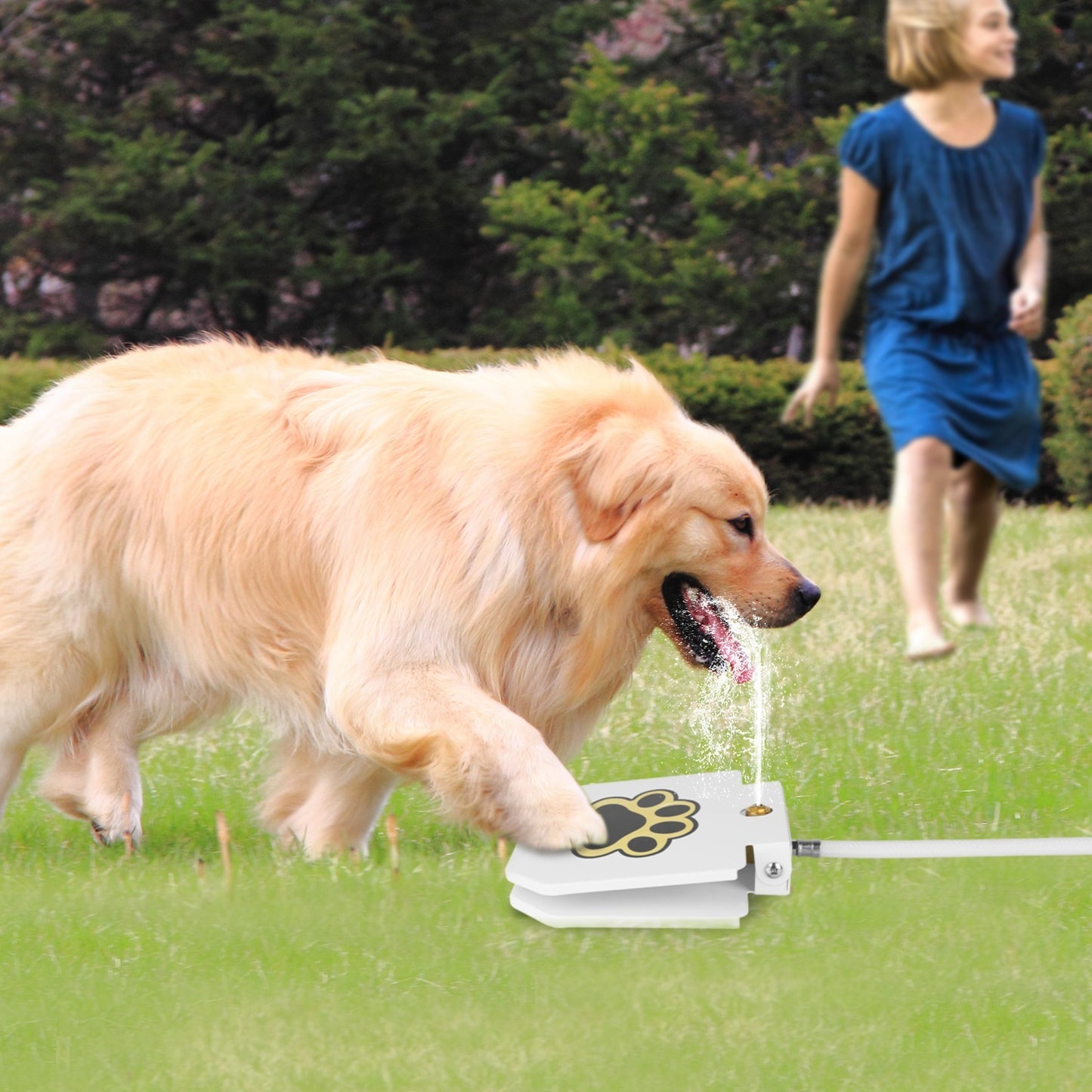 Fontaine à eau pour chien, distributeur d'eau d'extérieur pour animaux de compagnie, arroseur à pédale avec valve interactive pour boire de l'eau