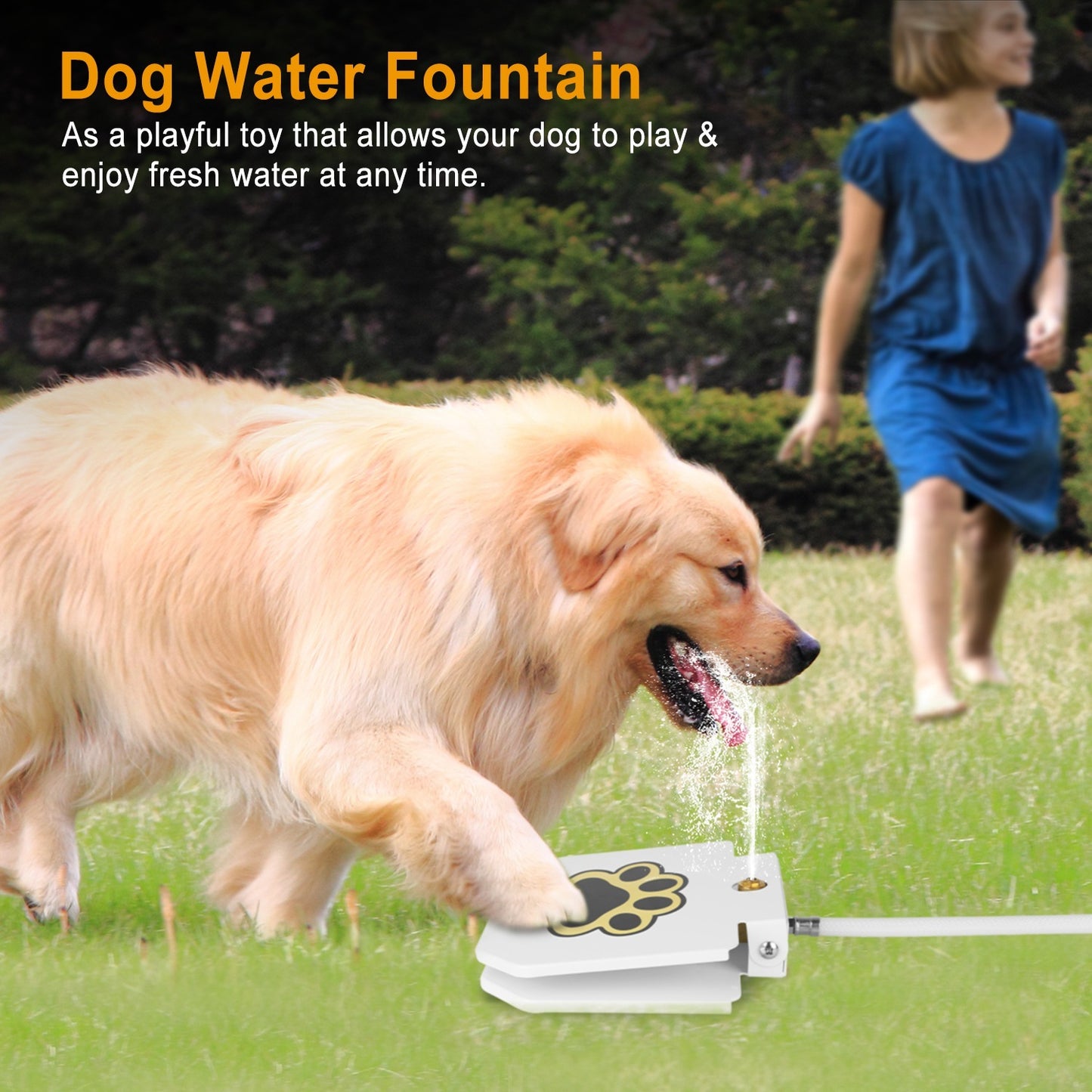 Fontaine à eau pour chien, distributeur d'eau d'extérieur pour animaux de compagnie, arroseur à pédale avec valve interactive pour boire de l'eau