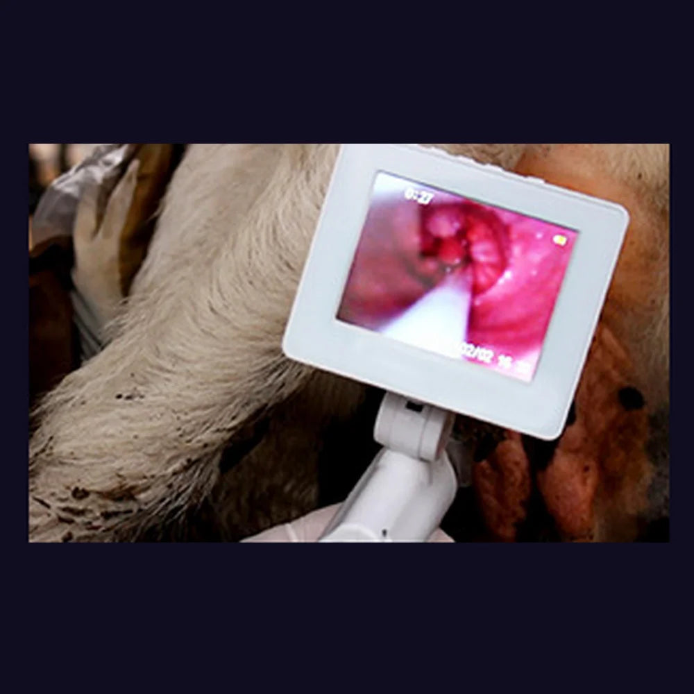Cow Feeding Tools Cow Visual Artificial Insemination Gun Veterinary Breeding Tools Livestock Farm Endoscope Ai Insemination