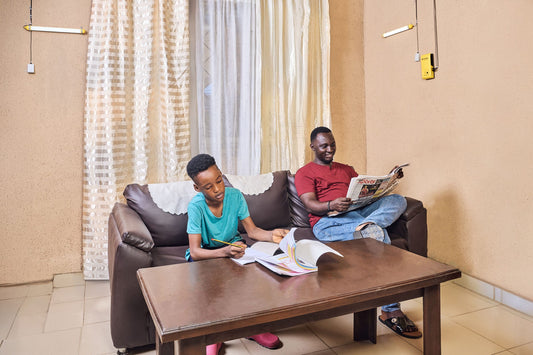 HomePlus Pro, Sunking Solar Home System, Comprehensive lighting and smartphone charging