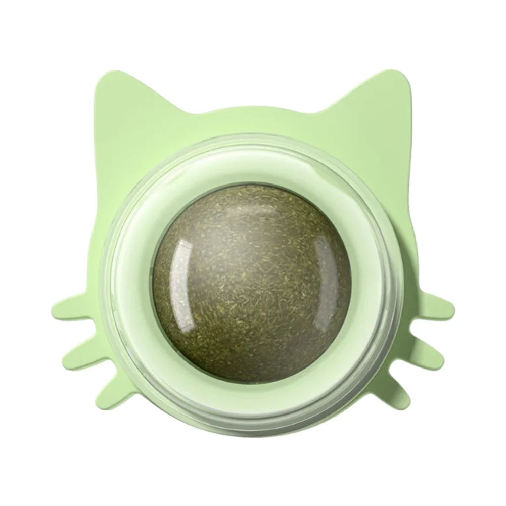 Lot de 1 à 5 balles murales rotatives à l'herbe à chat pour chaton, jouets à mâcher à lécher, nettoyage des dents, jouet à mordre pour chat d'intérieur, fournitures pour animaux de compagnie