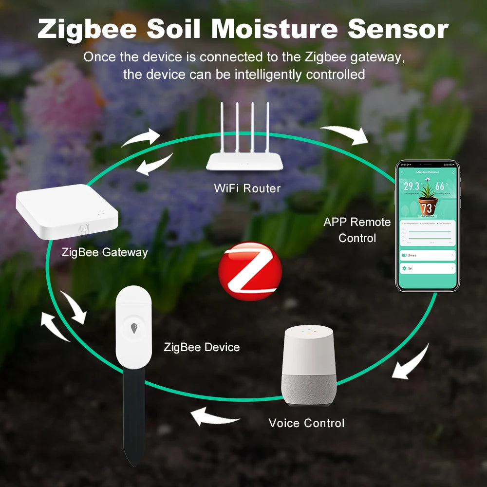 Testeur de sol intelligent Zigbee 3.0, compteur de température et d'humidité, thermohygromètre étanche, détecteur d'irrigation et d'automatisation de jardin