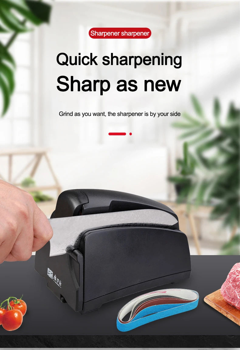 TAIDEA TG2002 Belt Grinding Electric Diamond Steel Sharpener