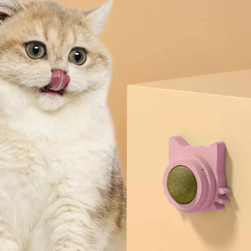 Lot de 1 à 5 balles murales rotatives à l'herbe à chat pour chaton, jouets à mâcher à lécher, nettoyage des dents, jouet à mordre pour chat d'intérieur, fournitures pour animaux de compagnie