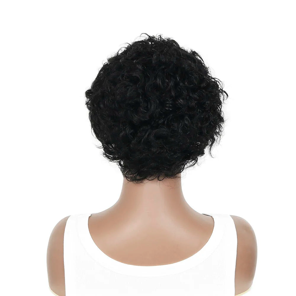 Pixie Cut Wig for Black Women Preplucked 13x1 13x4 Lace Hairline Water Wave Wig Peruvian Short Curly Lace Bouncy Human Hair Wigs