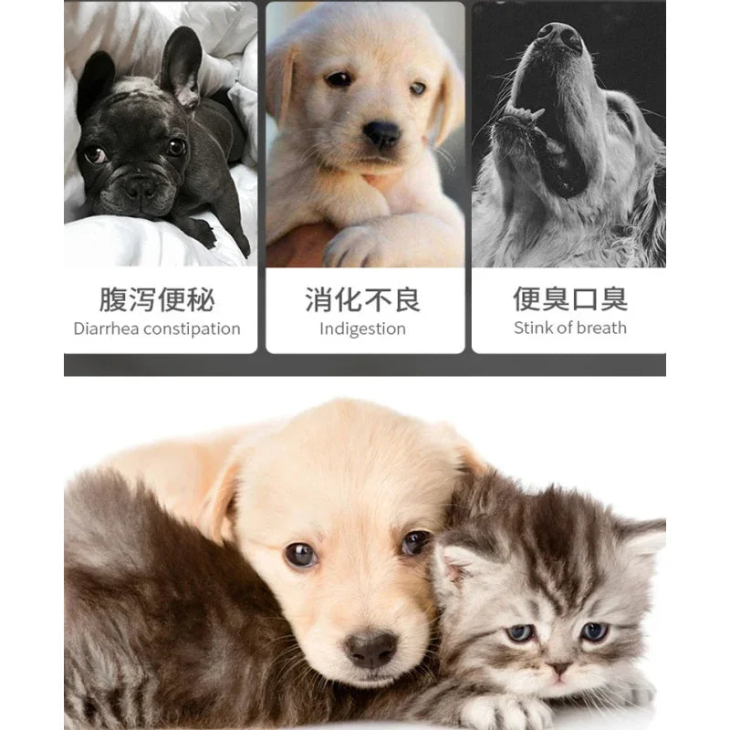 Pet Active Nutritional Probiotics Improve Diarrhea Digestion Gastrointestinal Health Products for Cats and Dogs