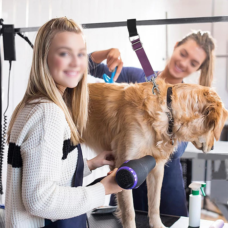 Collier pour chien, boucles de toilettage pour animaux de compagnie, corde de sécurité, laisse, accessoires pour chien, corde de retenue en nylon, couleur unie, fournitures pour animaux de compagnie réglables
