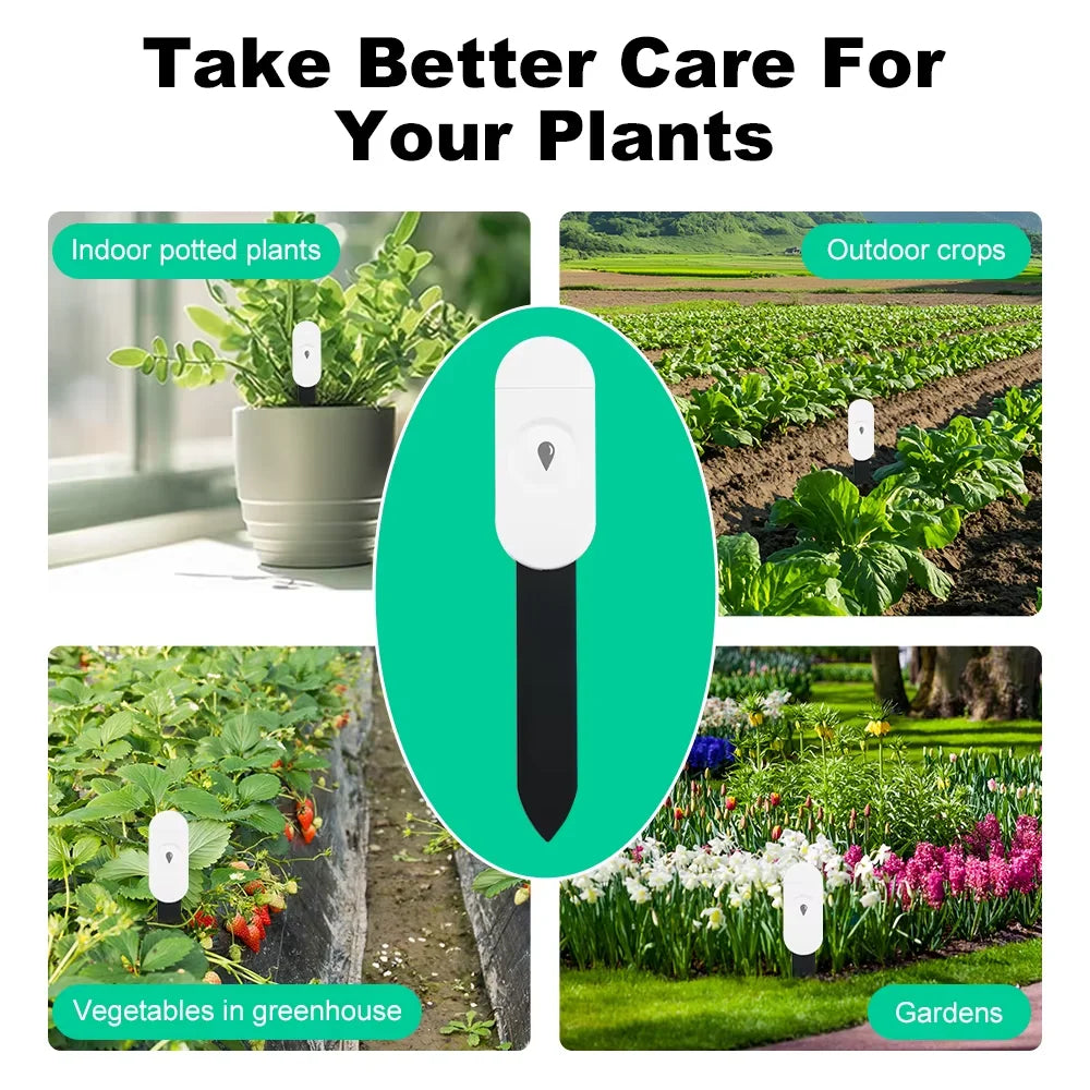 Capteur d'humidité du sol intelligent Tuya ZigBee, compteur de température et d'humidité, thermo-hygromètre, automatisation du jardin, détecteur d'irrigation