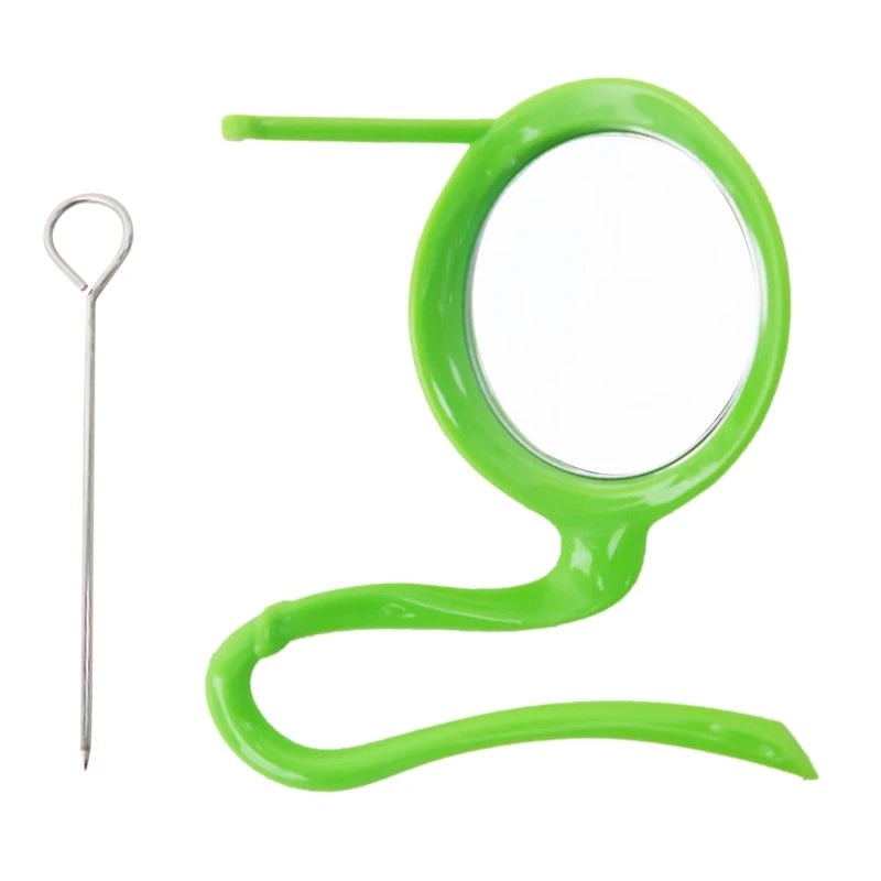 Bird Mirror Toy with Plastic Perch Stand for Cage Parrot Metal Fruit Vegetable Holder Feeder for Lovebirds Finches Canaries