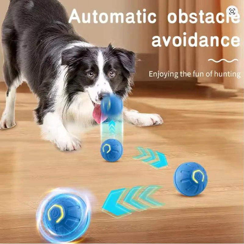 Jouet intelligent pour animaux de compagnie, balle électronique interactive pour animaux de compagnie, balle mobile USB, chiot, rebond automatique, cadeau, produits pour chats.
