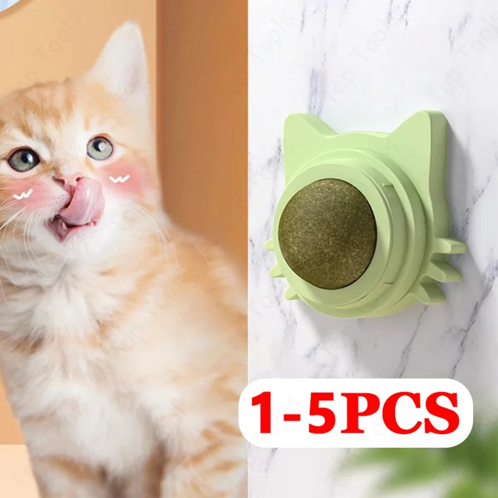 Lot de 1 à 5 balles murales rotatives à l'herbe à chat pour chaton, jouets à mâcher à lécher, nettoyage des dents, jouet à mordre pour chat d'intérieur, fournitures pour animaux de compagnie