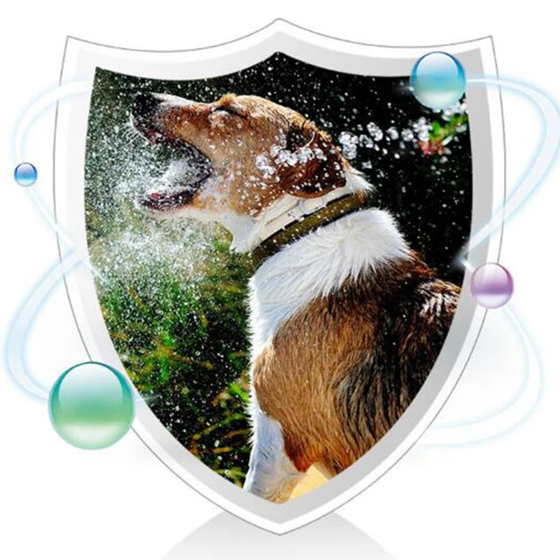 Pet Active Nutritional Probiotics Improve Diarrhea Digestion Gastrointestinal Health Products for Cats and Dogs