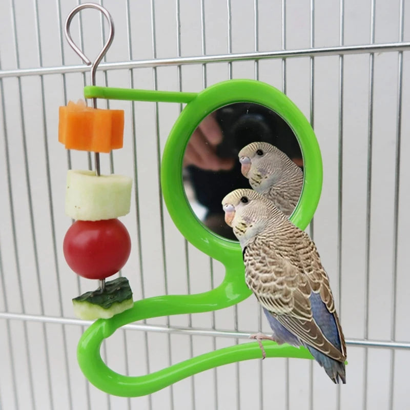Bird Mirror Toy with Plastic Perch Stand for Cage Parrot Metal Fruit Vegetable Holder Feeder for Lovebirds Finches Canaries