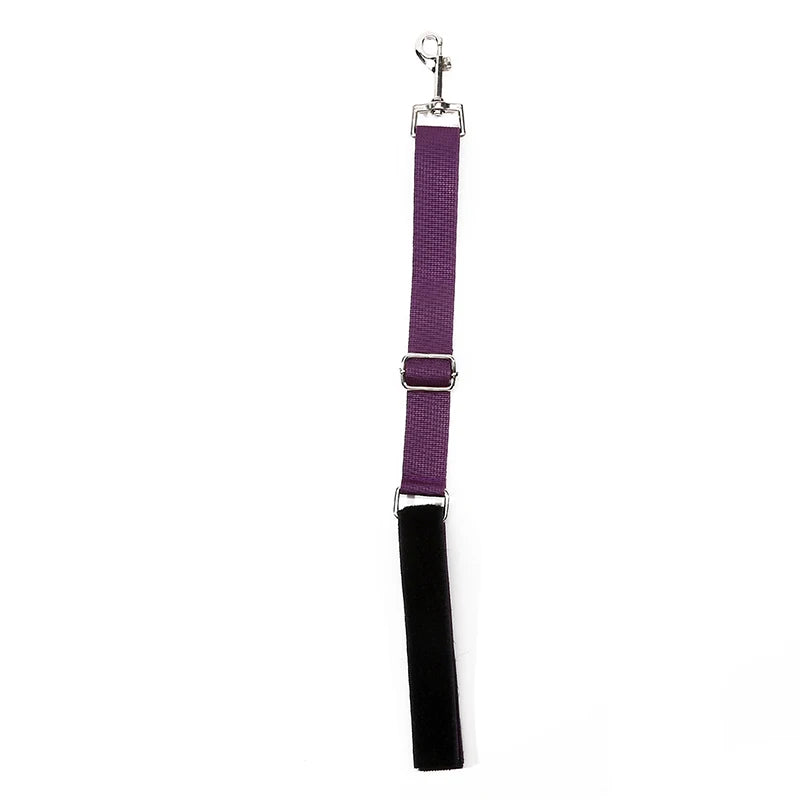 Collier pour chien, boucles de toilettage pour animaux de compagnie, corde de sécurité, laisse, accessoires pour chien, corde de retenue en nylon, couleur unie, fournitures pour animaux de compagnie réglables