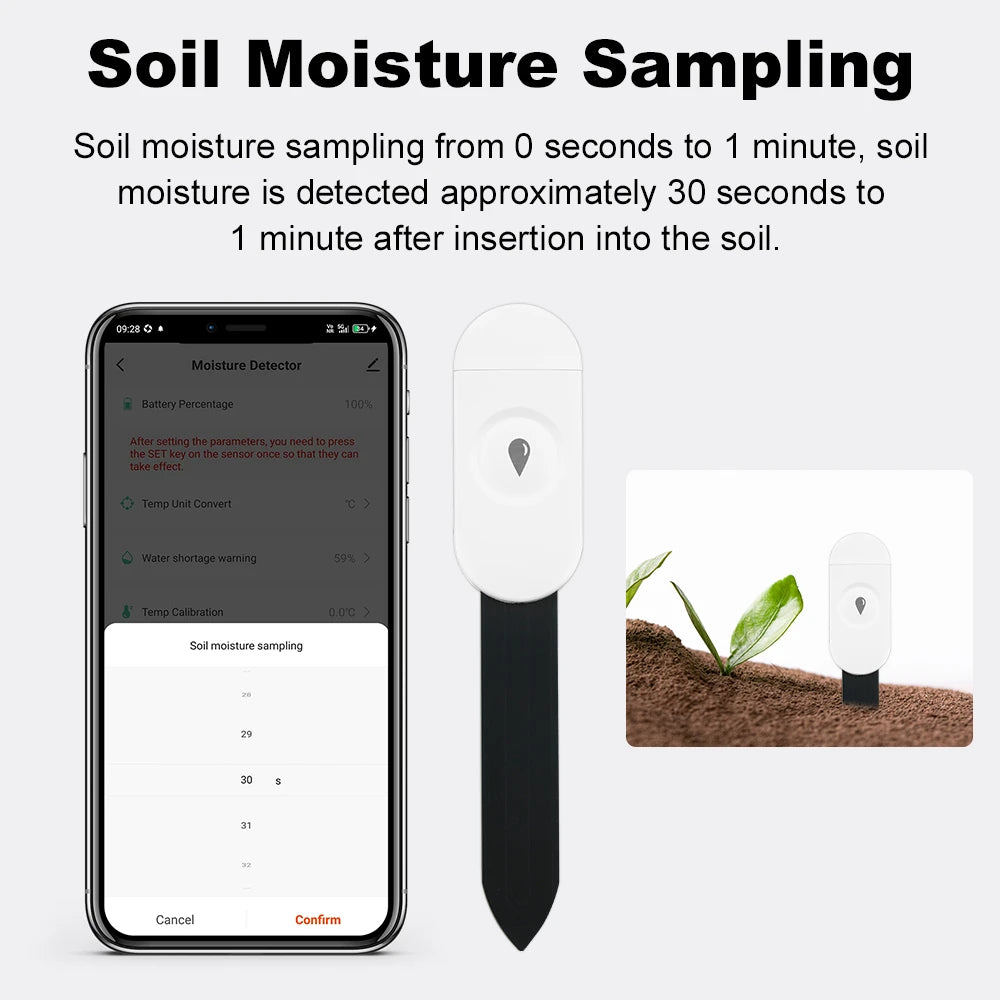 Testeur de sol intelligent Zigbee 3.0, compteur de température et d'humidité, thermohygromètre étanche, détecteur d'irrigation et d'automatisation de jardin