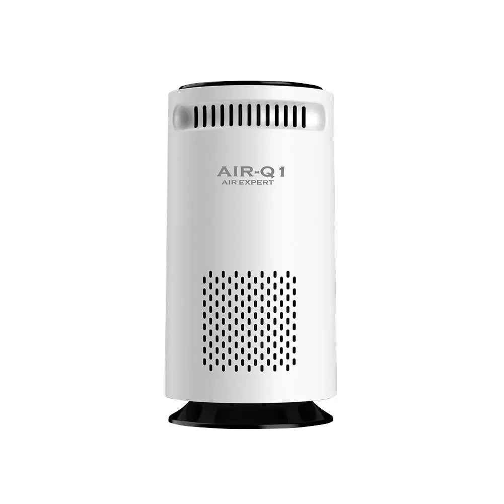 Purificateur d'air portable pour maison, voiture, purificateur d'air à ions négatifs pour la fumée, le pollen, désodorisant silencieux USB pour chambre, bureau, salon