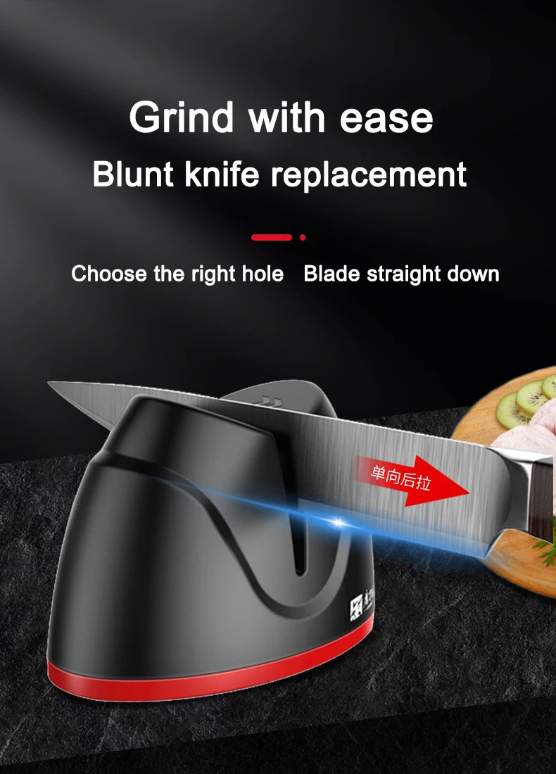 TAIDEA TG2002 Belt Grinding Electric Diamond Steel Sharpener