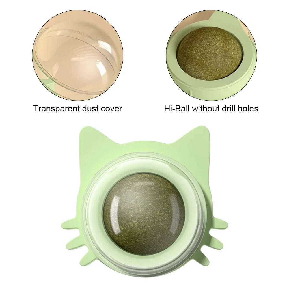 Lot de 1 à 5 balles murales rotatives à l'herbe à chat pour chaton, jouets à mâcher à lécher, nettoyage des dents, jouet à mordre pour chat d'intérieur, fournitures pour animaux de compagnie