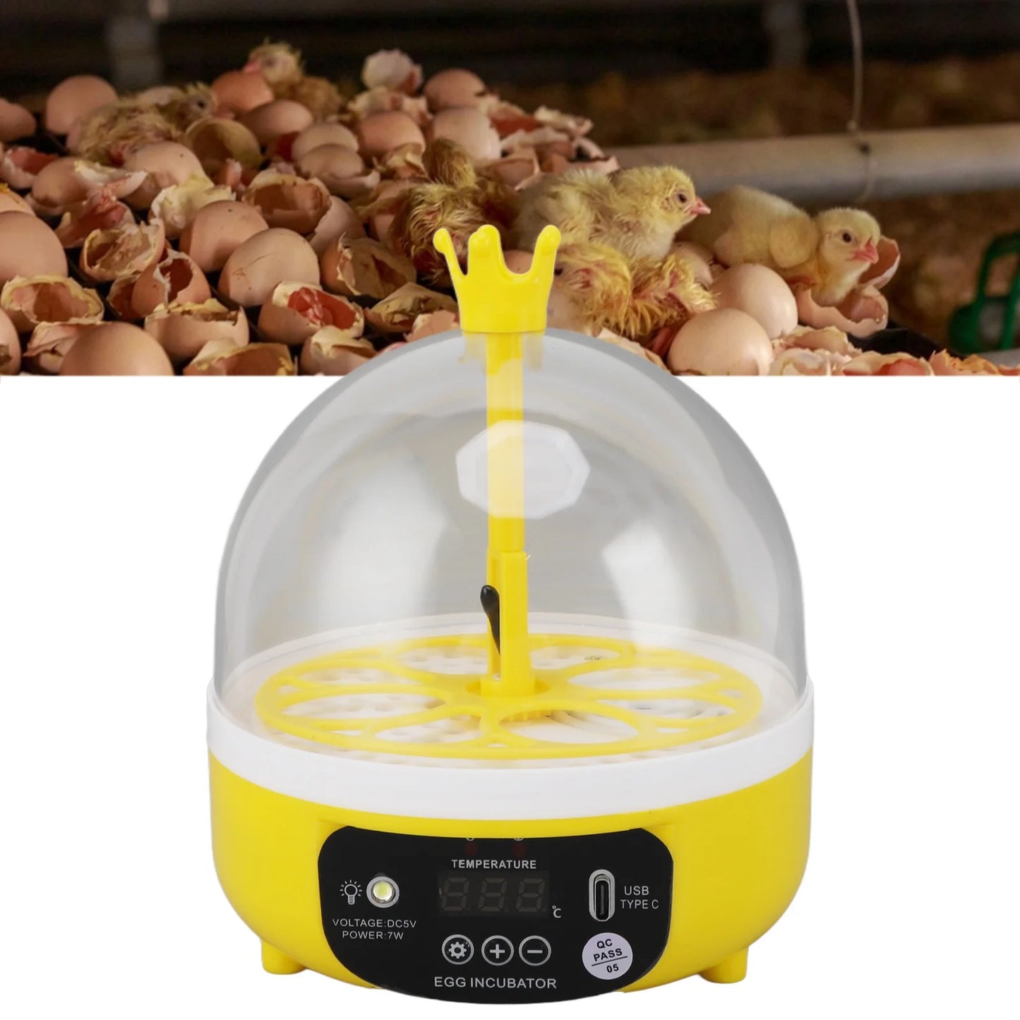 Mini incubateur d'œufs pour la maison, contrôle automatique de la température et de l'humidité, 4 œufs, chandelle, machine à couver pour volailles, poulets, canards, Pi