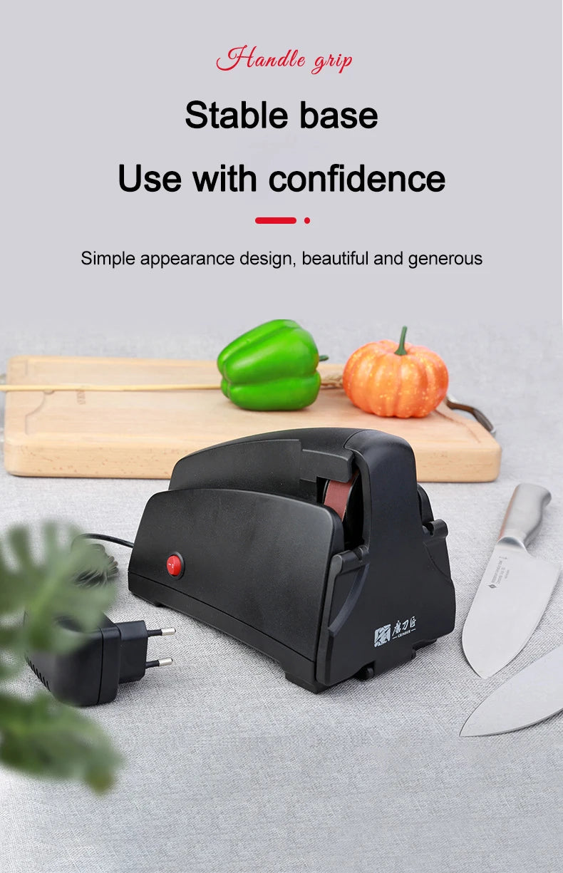 TAIDEA TG2002 Belt Grinding Electric Diamond Steel Sharpener