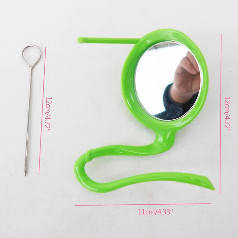 Bird Mirror Toy with Plastic Perch Stand for Cage Parrot Metal Fruit Vegetable Holder Feeder for Lovebirds Finches Canaries