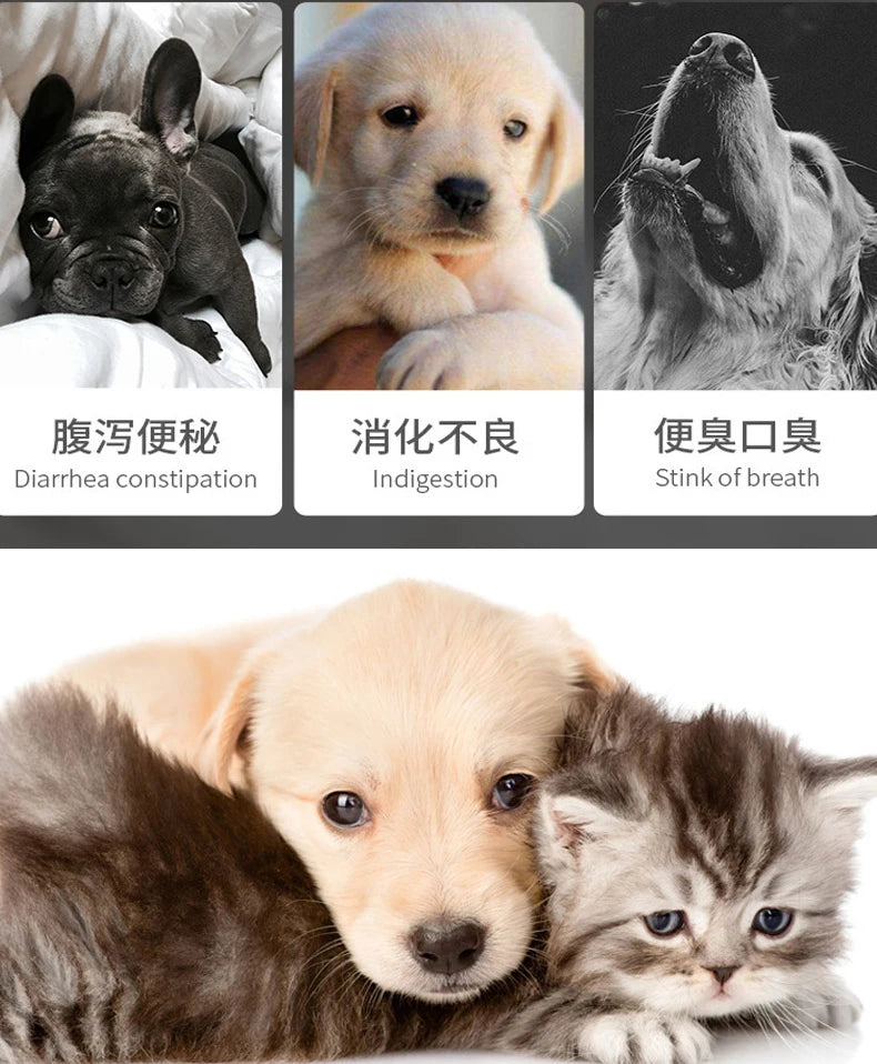 Pet Active Nutritional Probiotics Improve Diarrhea Digestion Gastrointestinal Health Products for Cats and Dogs