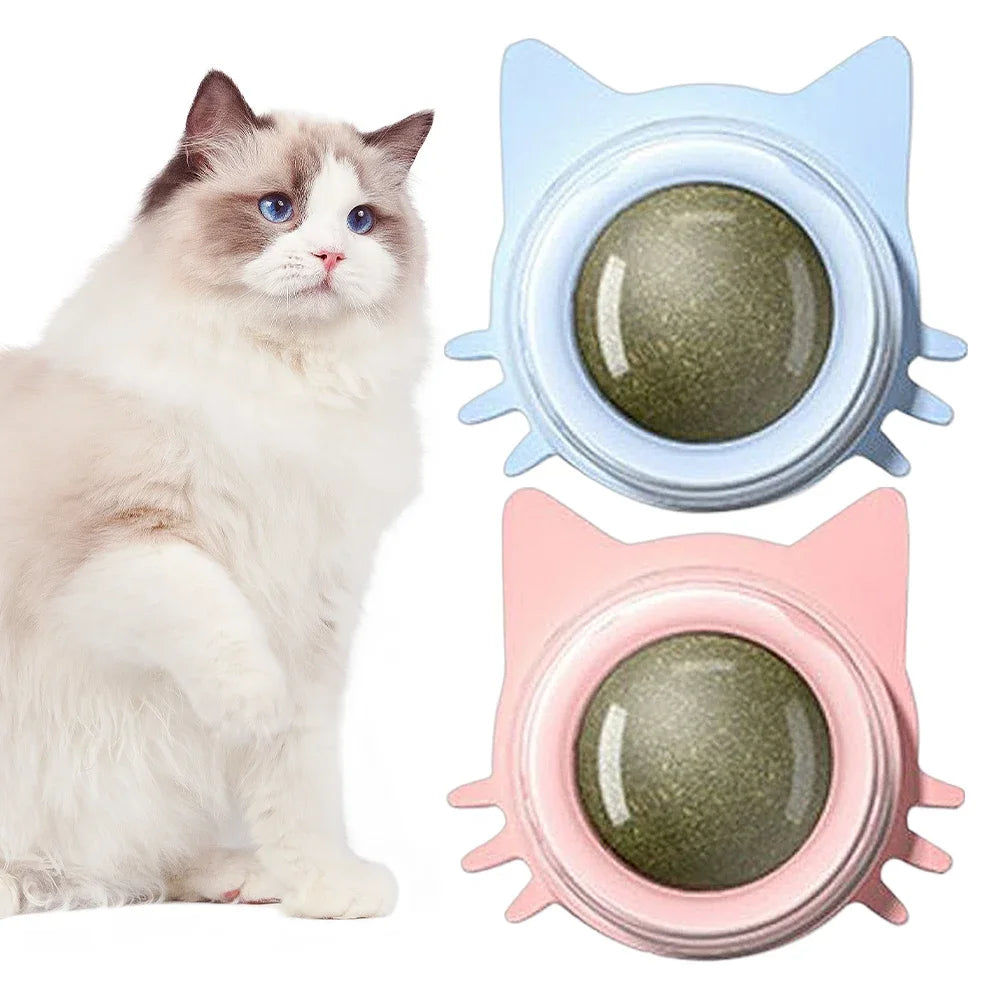 Lot de 1 à 5 balles murales rotatives à l'herbe à chat pour chaton, jouets à mâcher à lécher, nettoyage des dents, jouet à mordre pour chat d'intérieur, fournitures pour animaux de compagnie