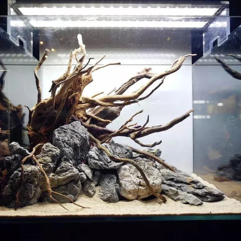 Natural Tree Trunk Aquarium Decoration Fish Tank Ornament Driftwood Cuckoo Roots Micro Landscape for Reptiles and Aquatic Decor