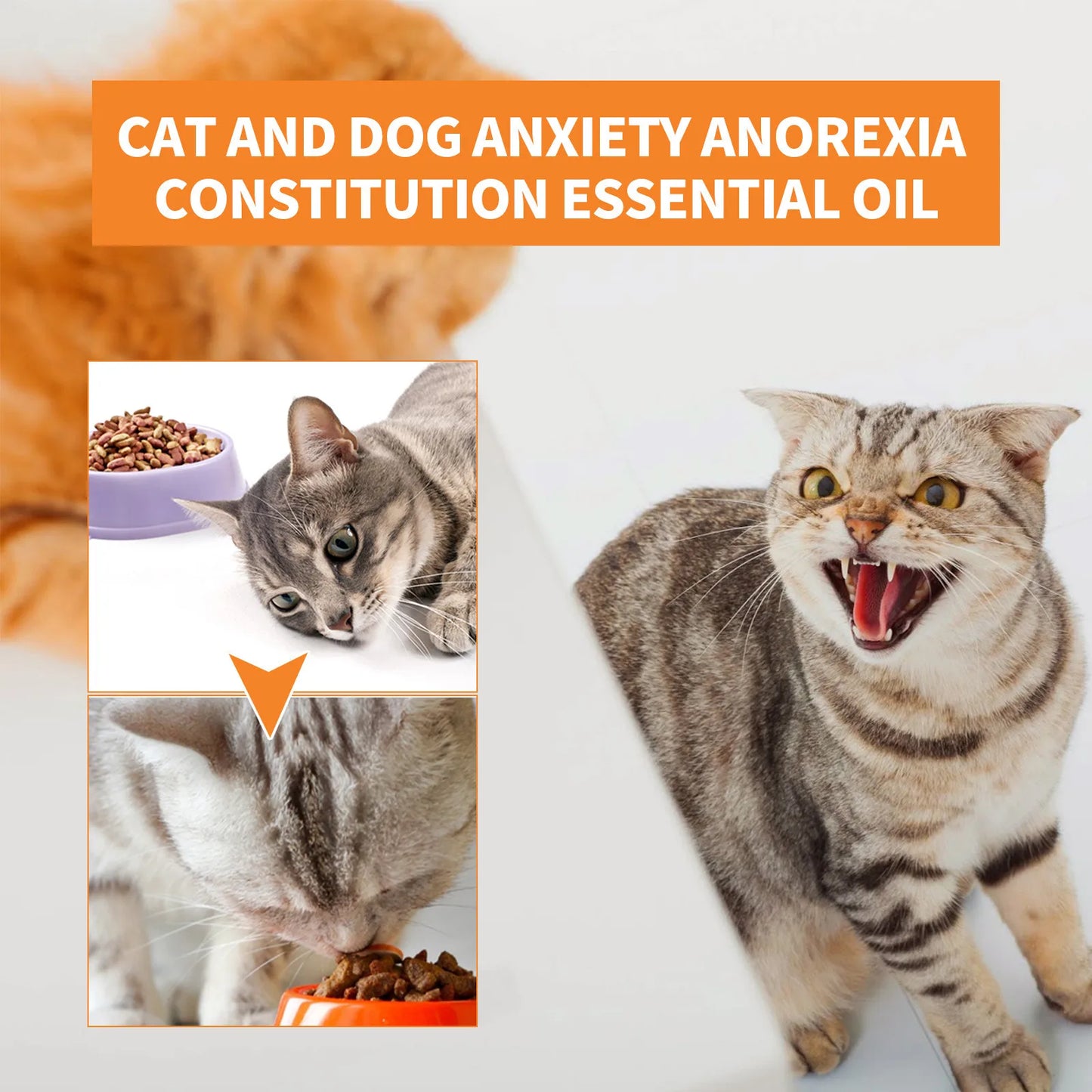 30ml Calming Oil For Dog Calming Drop Pet Stress Relief Blend Oil For Dogs Cats Anxiety-Free Experience Skin Health Pet Supplies