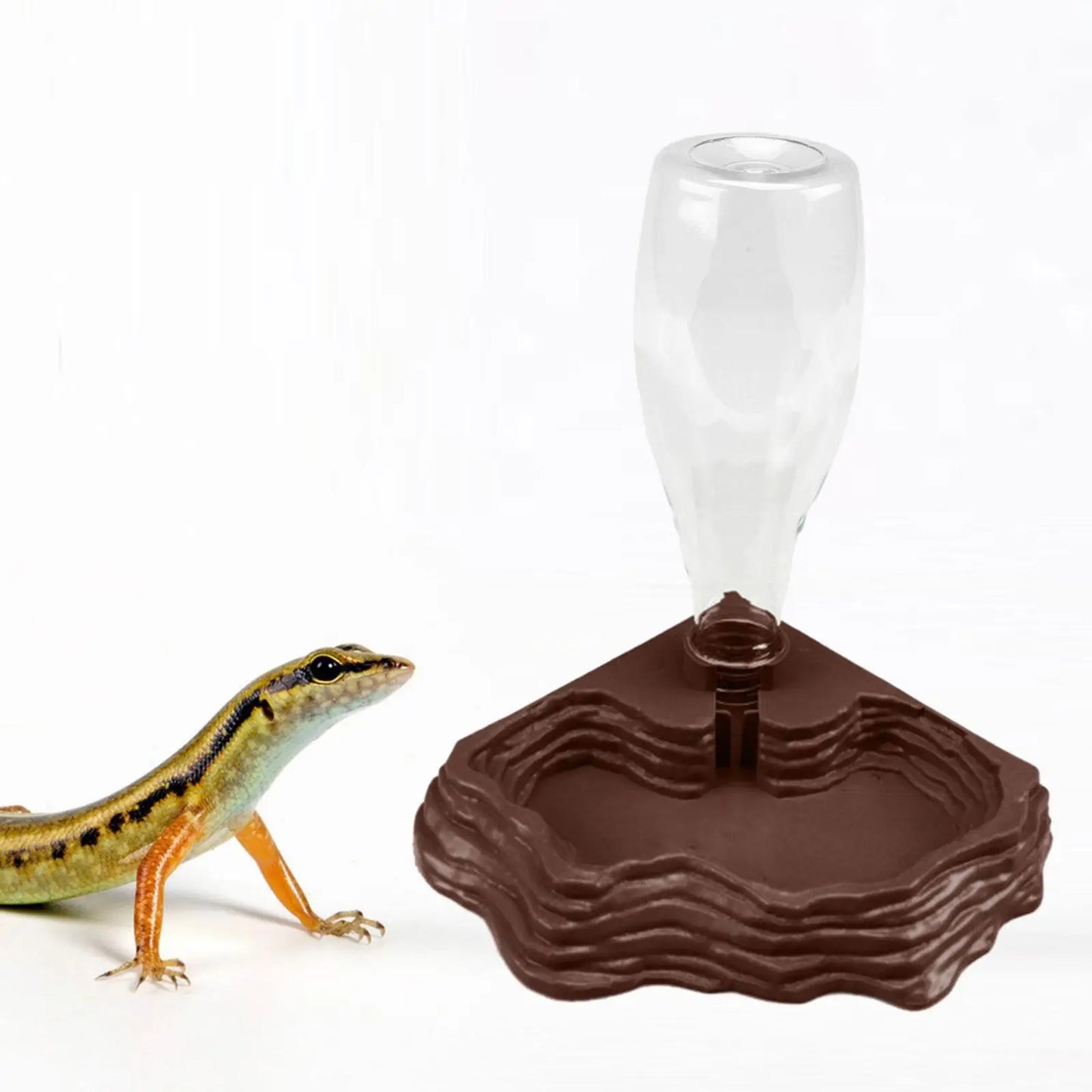 Distributeur d'eau automatique pour reptiles, accessoires pour réservoir, capacité de 400 ml, bol d'arrosage pour terrarium, pour lézards, geckos et dragons barbus