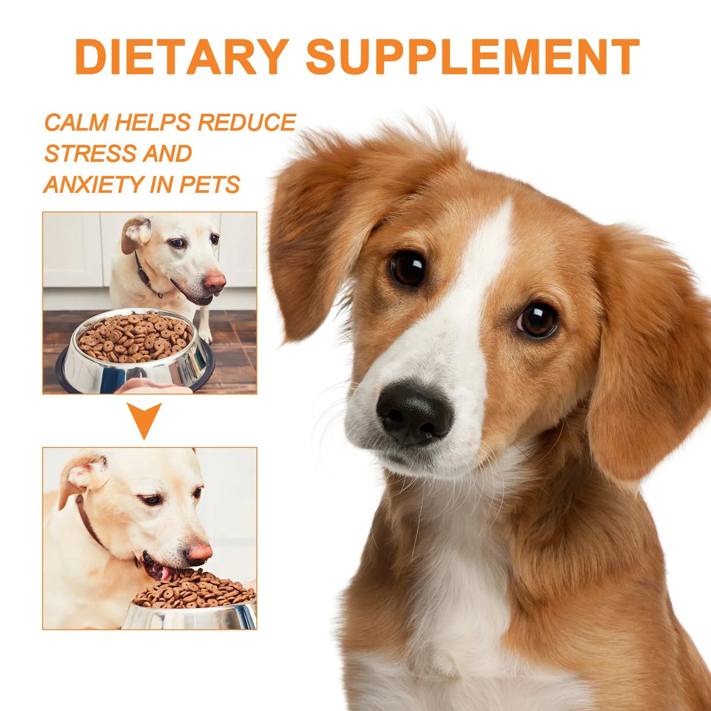 30ml Calming Oil For Dog Calming Drop Pet Stress Relief Blend Oil For Dogs Cats Anxiety-Free Experience Skin Health Pet Supplies