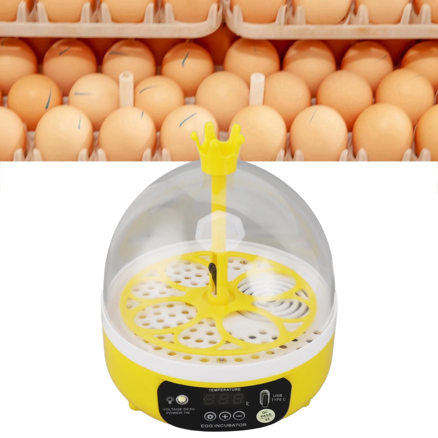 Mini incubateur d'œufs pour la maison, contrôle automatique de la température et de l'humidité, 4 œufs, chandelle, machine à couver pour volailles, poulets, canards, Pi