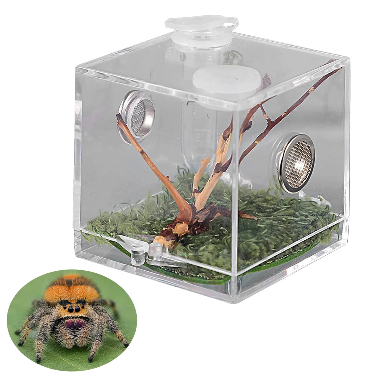 Reptile Heat Lamp Black Infrared Ceramic Emitter Heat Light Bulb Pet Brooder 220-240V Touch Lamp For Chameleon Cage Snake Tank