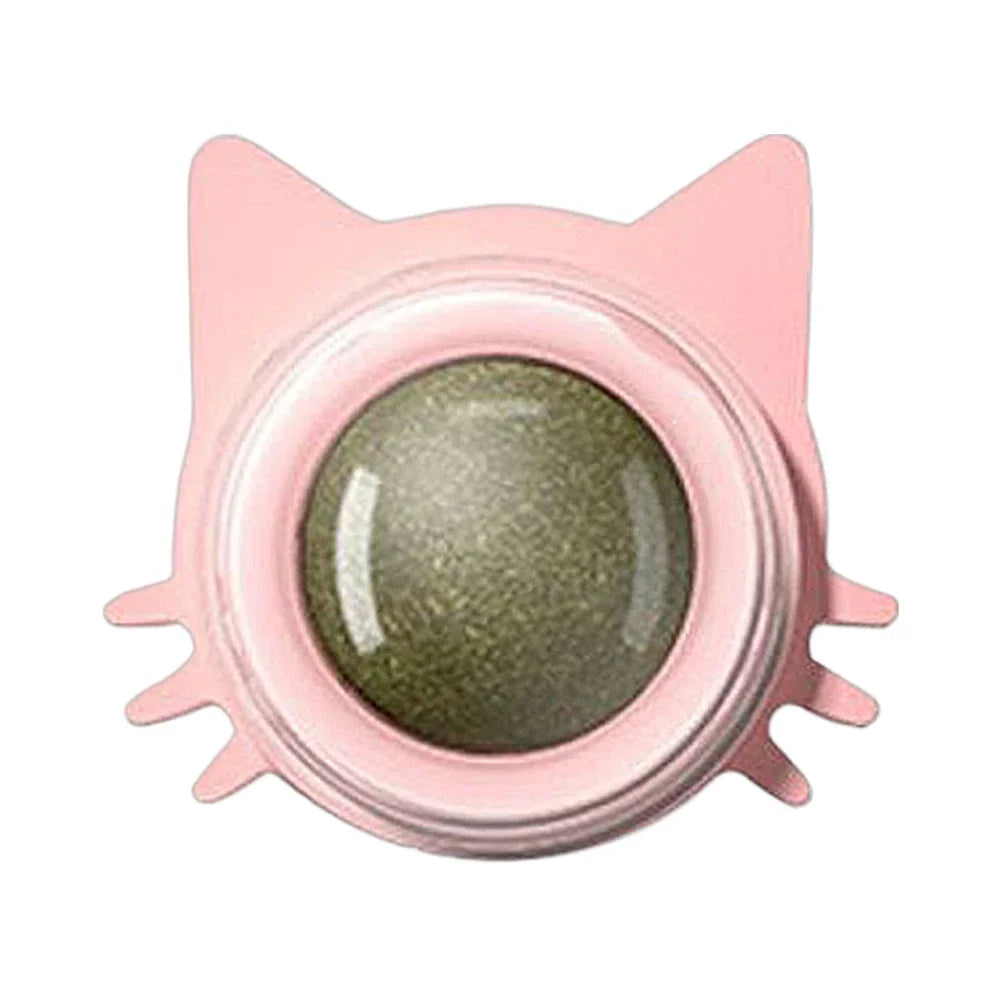 Lot de 1 à 5 balles murales rotatives à l'herbe à chat pour chaton, jouets à mâcher à lécher, nettoyage des dents, jouet à mordre pour chat d'intérieur, fournitures pour animaux de compagnie