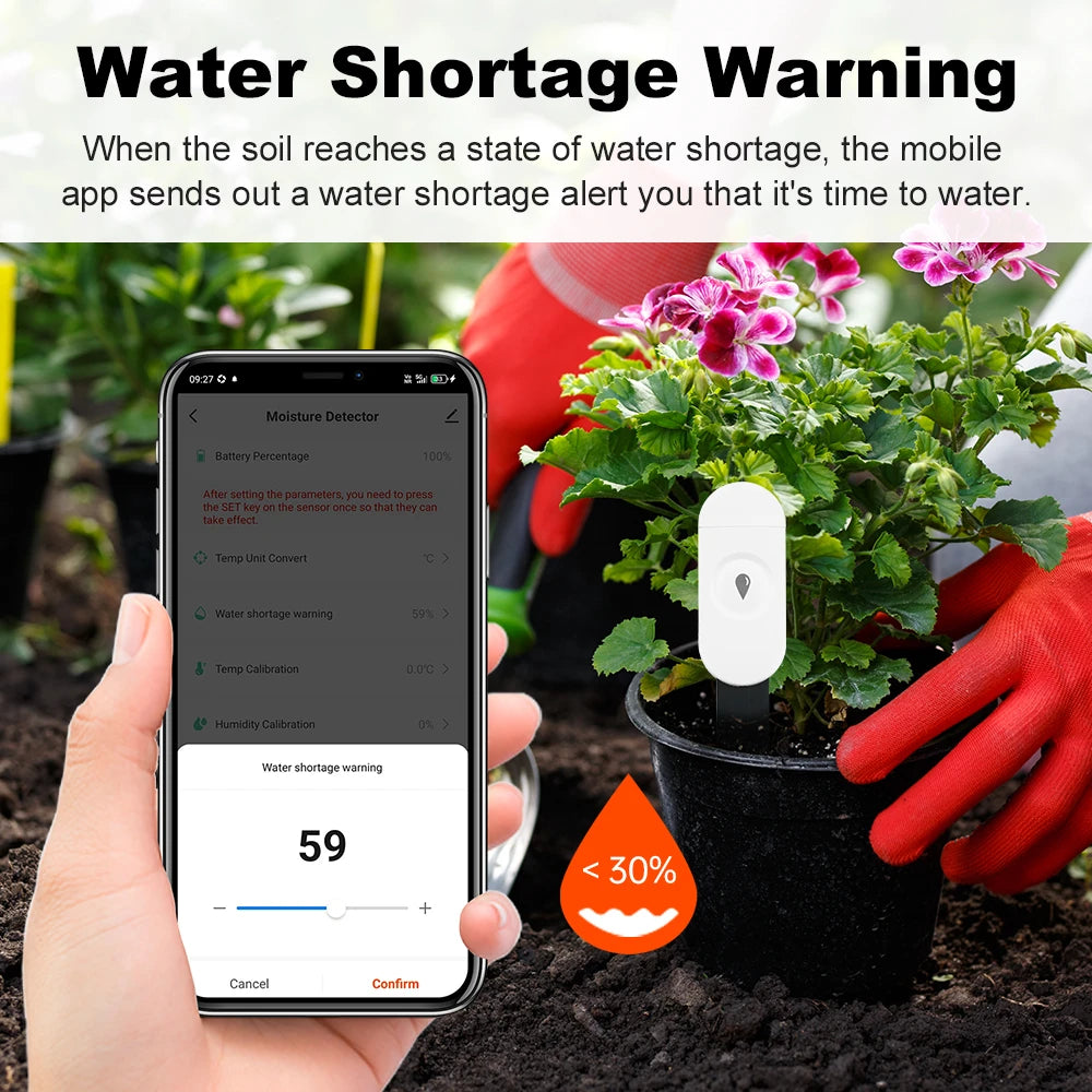 Testeur de sol intelligent Zigbee 3.0, compteur de température et d'humidité, thermohygromètre étanche, détecteur d'irrigation et d'automatisation de jardin