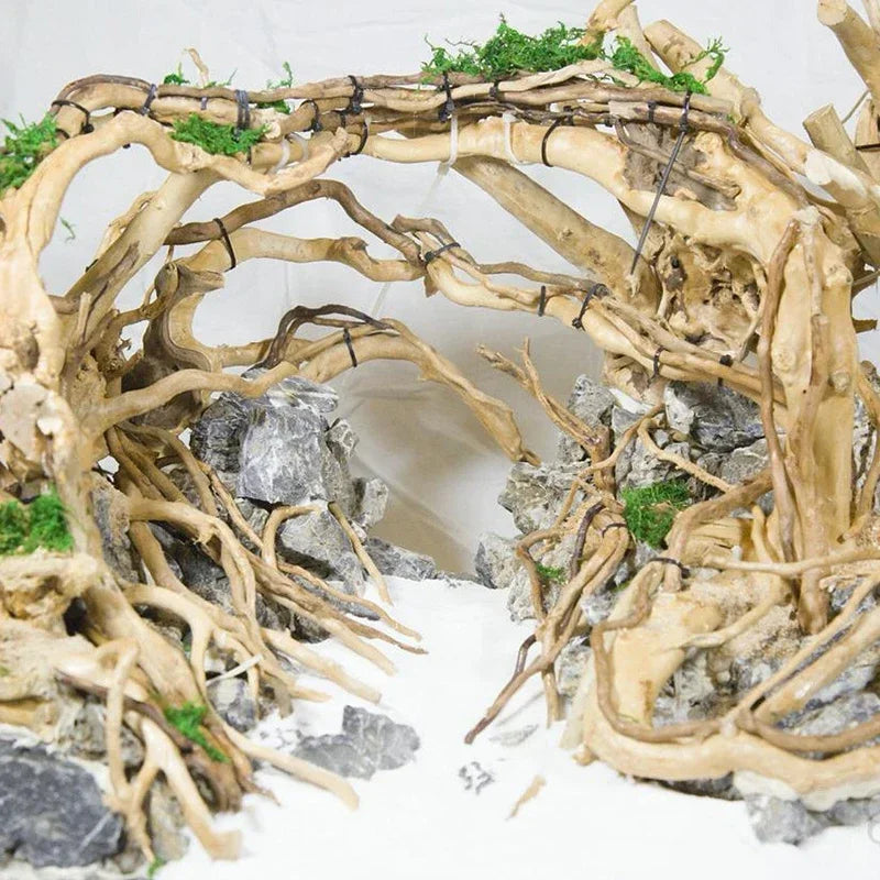 Natural Tree Trunk Aquarium Decoration Fish Tank Ornament Driftwood Cuckoo Roots Micro Landscape for Reptiles and Aquatic Decor