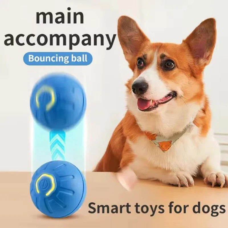 Jouet intelligent pour animaux de compagnie, balle électronique interactive pour animaux de compagnie, balle mobile USB, chiot, rebond automatique, cadeau, produits pour chats.