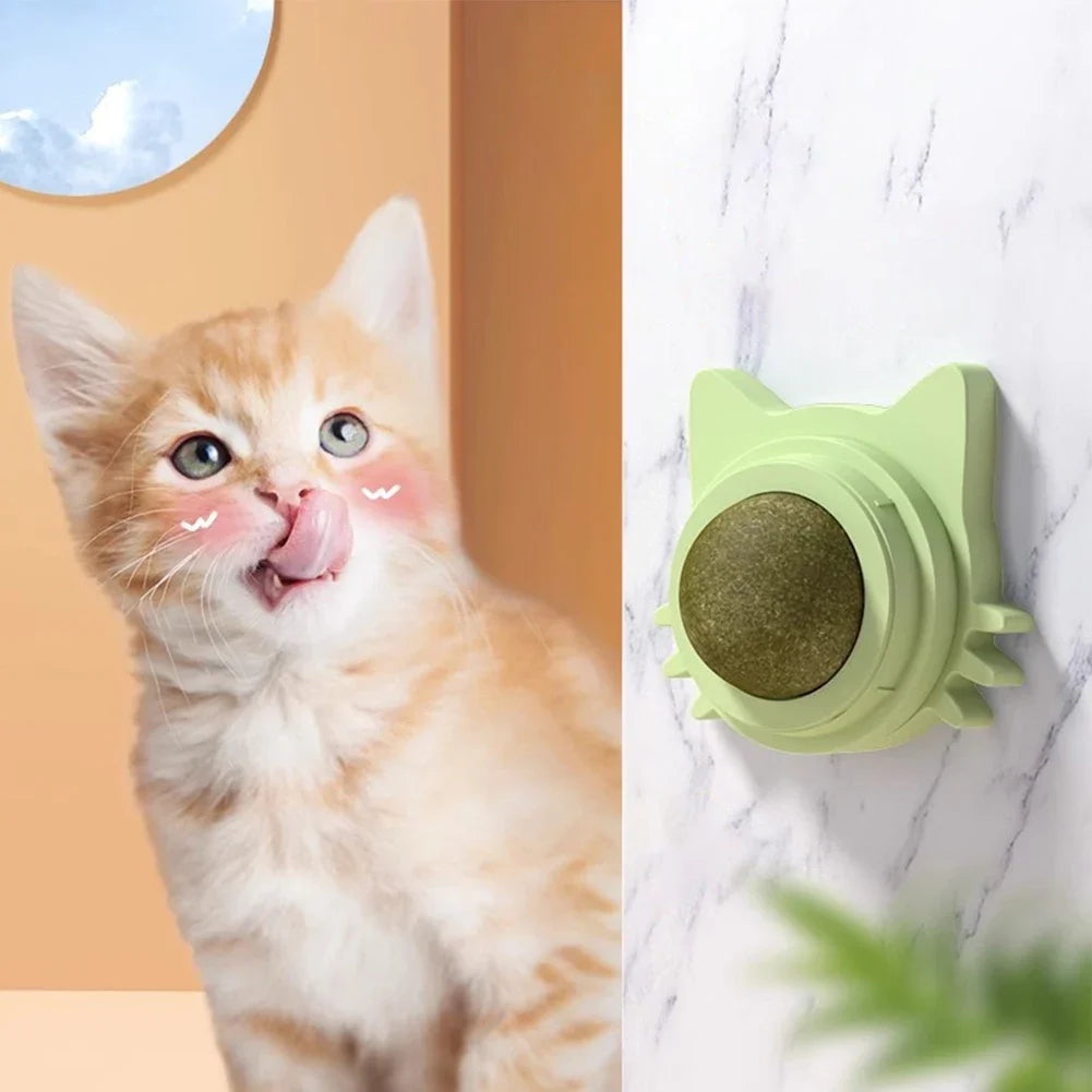 Lot de 1 à 5 balles murales rotatives à l'herbe à chat pour chaton, jouets à mâcher à lécher, nettoyage des dents, jouet à mordre pour chat d'intérieur, fournitures pour animaux de compagnie
