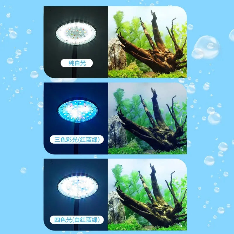 Lampe d'aquarium USB 5 W 7 W LED étanche pour aquarium, lampe sous-marine pour poissons, décoration d'aquarium, lampe pour plantes, mini lampe pour aquarium