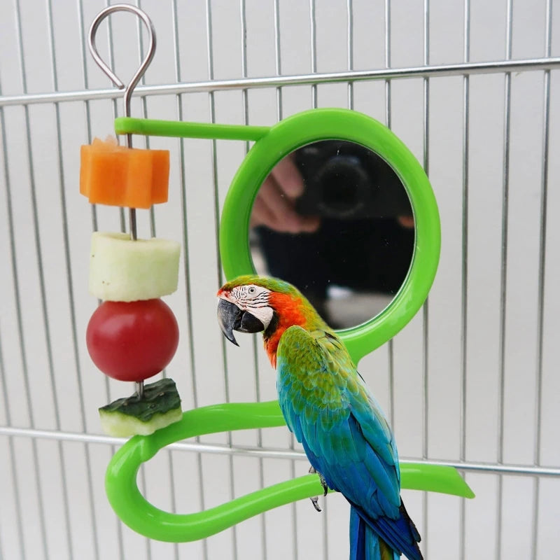 Bird Mirror Toy with Plastic Perch Stand for Cage Parrot Metal Fruit Vegetable Holder Feeder for Lovebirds Finches Canaries