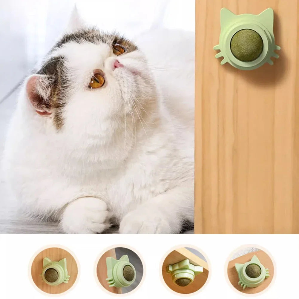 Lot de 1 à 5 balles murales rotatives à l'herbe à chat pour chaton, jouets à mâcher à lécher, nettoyage des dents, jouet à mordre pour chat d'intérieur, fournitures pour animaux de compagnie